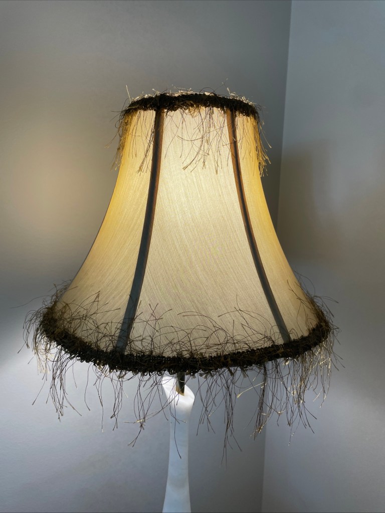 Victorian Art Deco Boho Style Floor Lamp Shade Shave Green Hair Tassels 11x14”