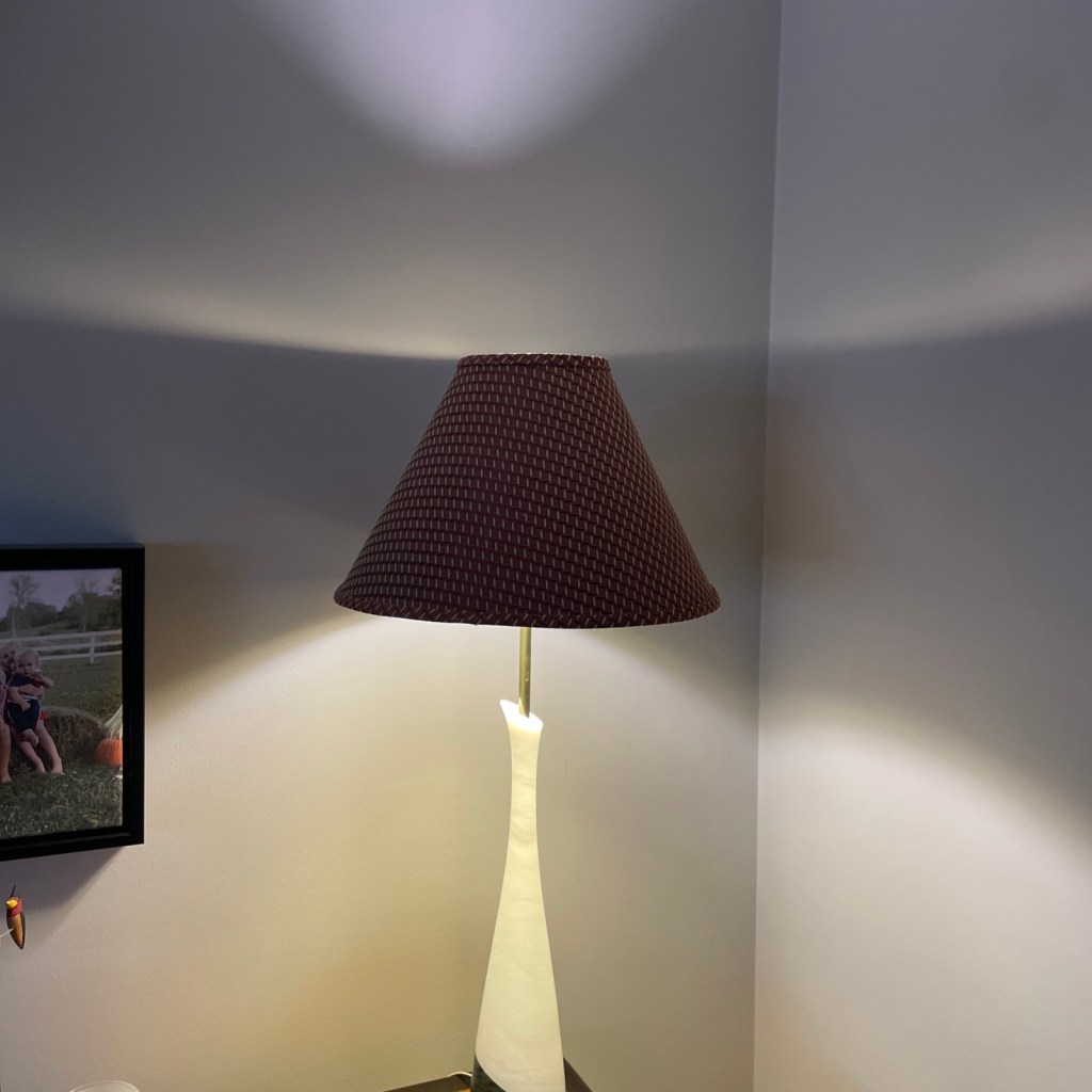 Vintage Red Gold Gingham Fabric Pleated Lamp Shade 11x16”